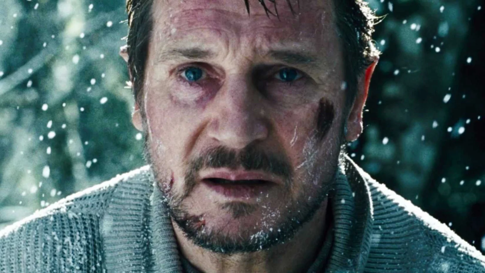 6 filmes de sobrevivência para assistir após Heart of the Beast